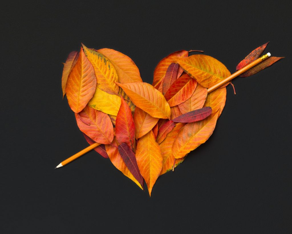 Boom of pencil inside heart of fallen leaves on black