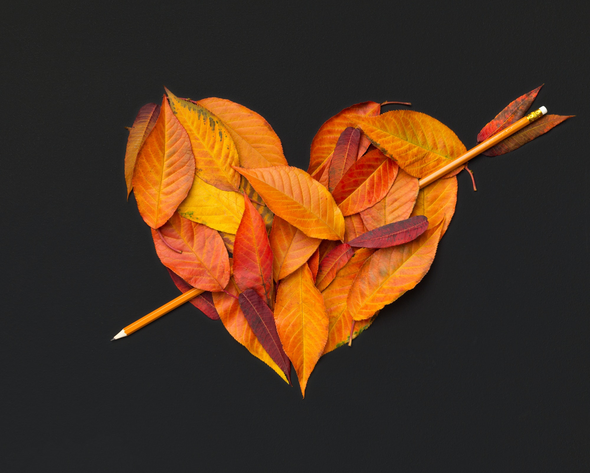 הפעם הראשונה ששמעתי קדיש